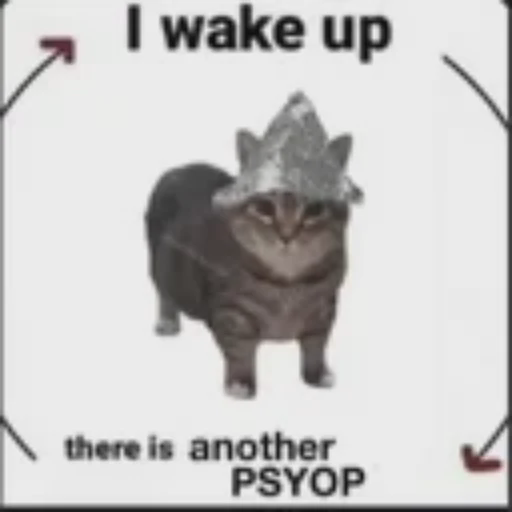 psyopcat